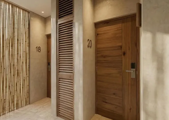 Ambar By Colmena - San Jose del Cabo