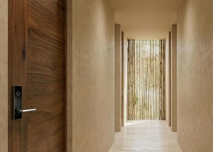 Ambar By Colmena -